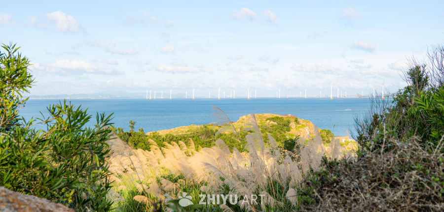 海上风电与自然美景