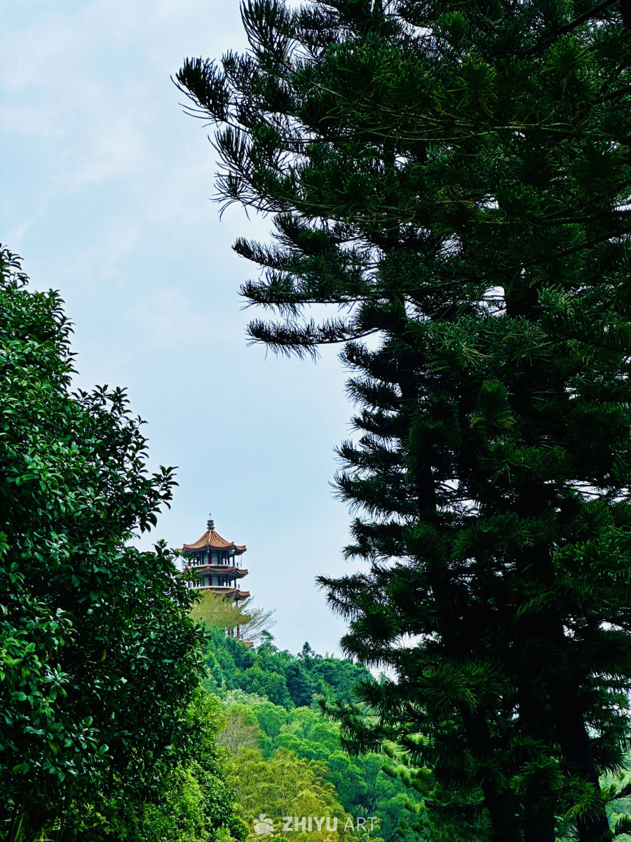 仙湖植物园夏景