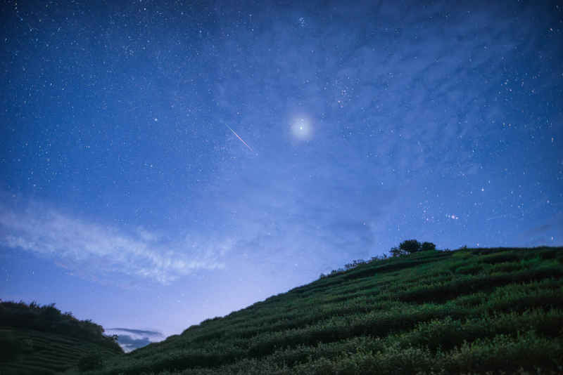 茶园与流星