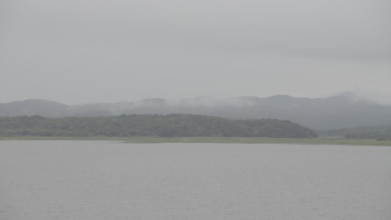 五常稻花香大米 27