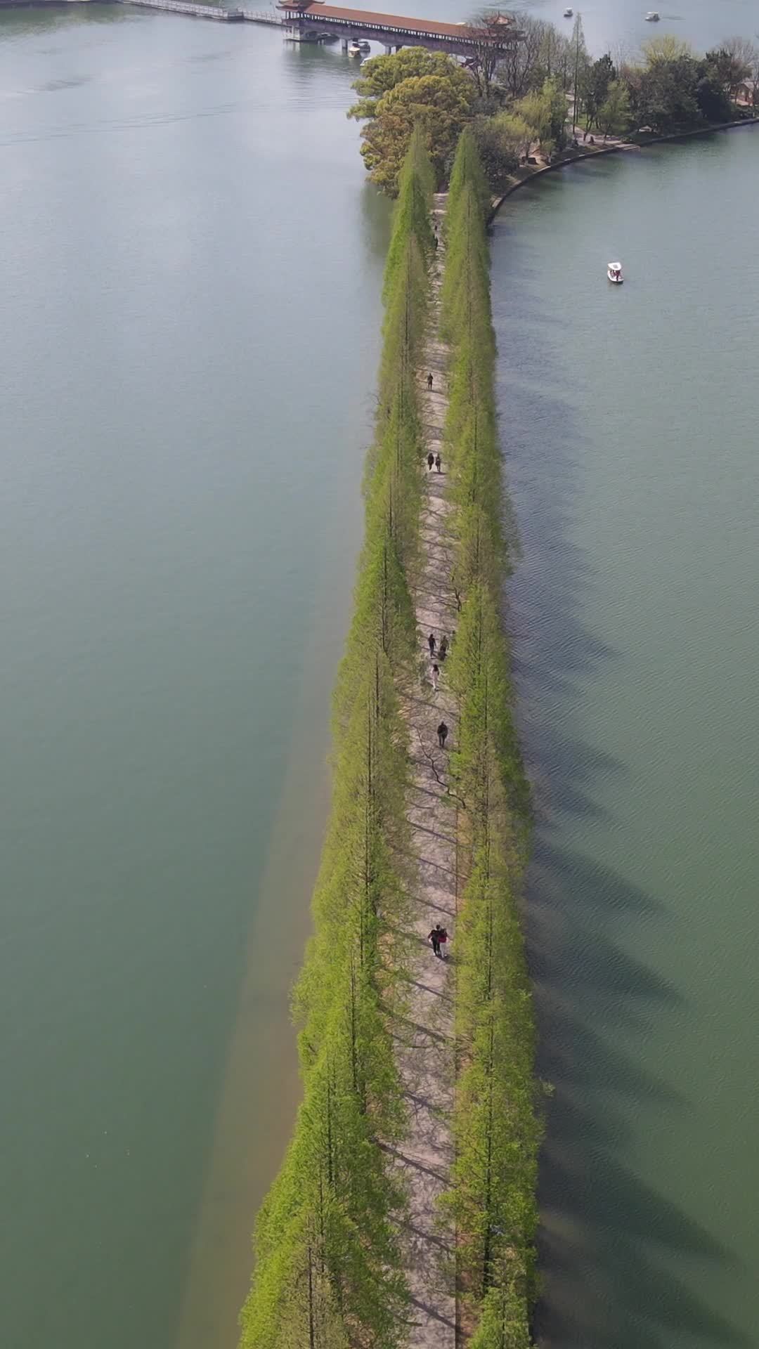 湖中小岛漫步