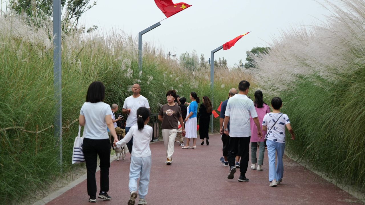 国庆江边芦苇荡 18