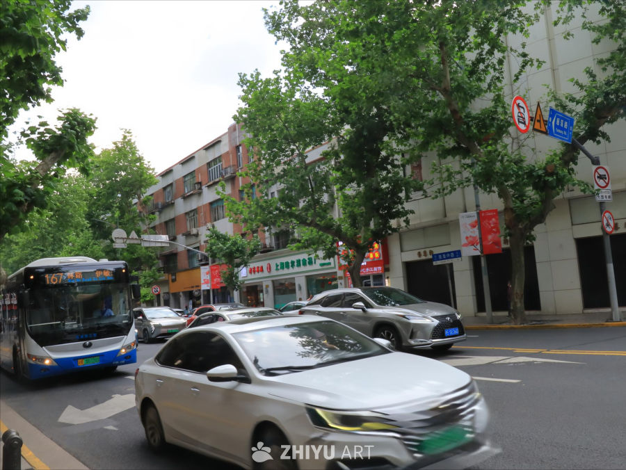 都市脉搏·车水马龙与绿荫街景的现代协奏曲
