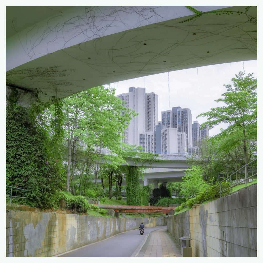绿城柳州