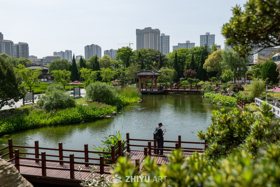拜将台 23
