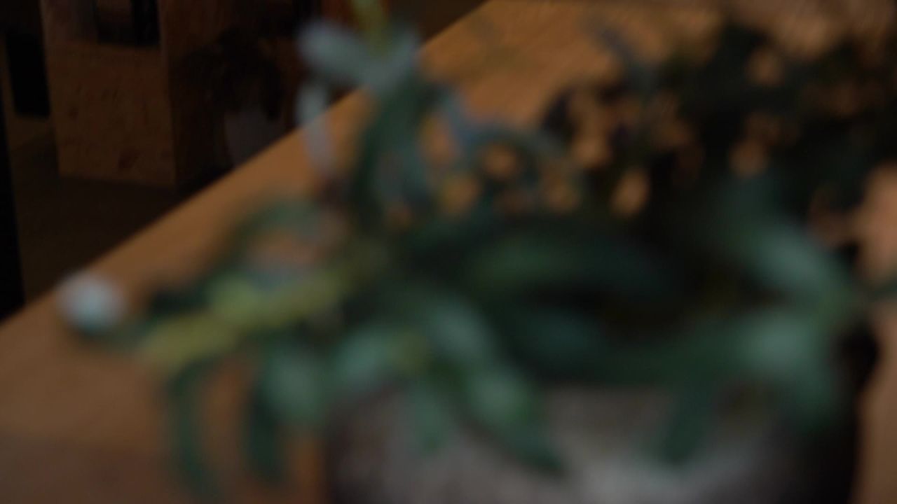 艺术节 8