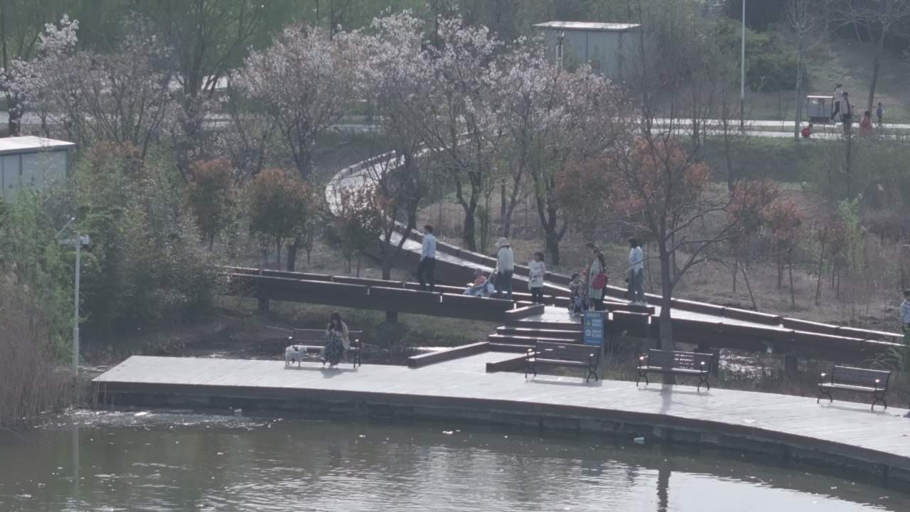春天的公园漫步