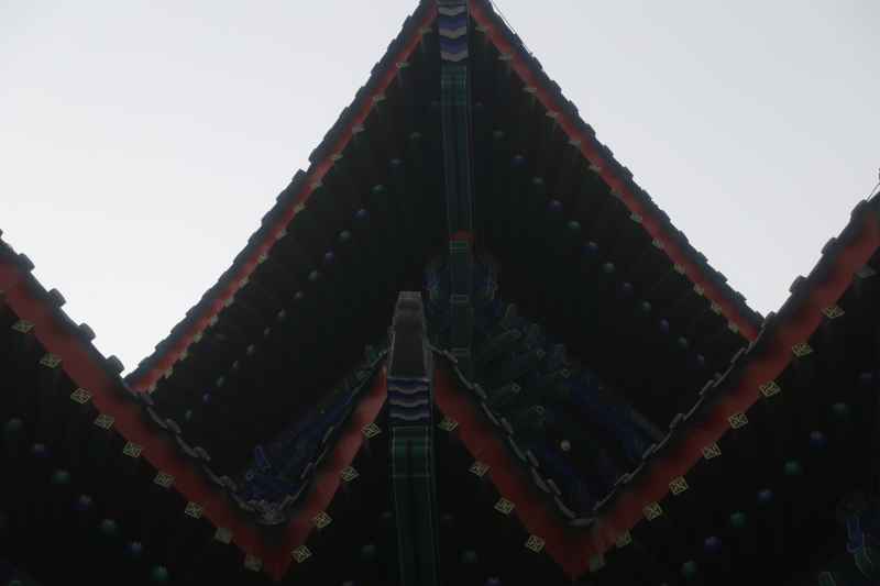 沧州扫街 46