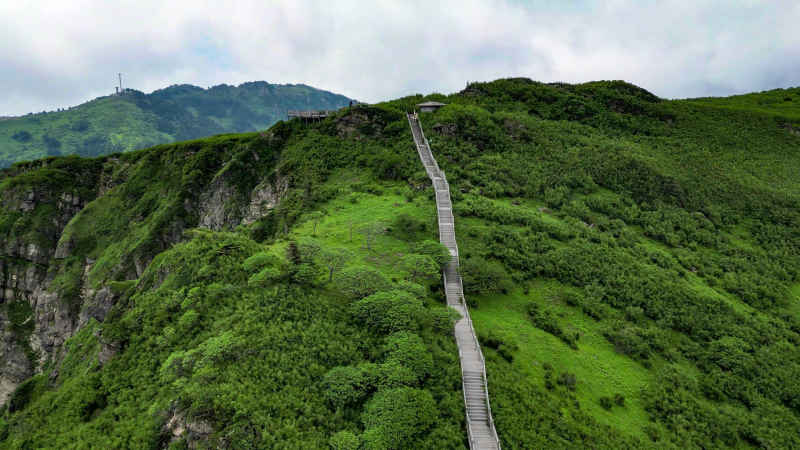 航拍湖北神农架5A景区神农谷  