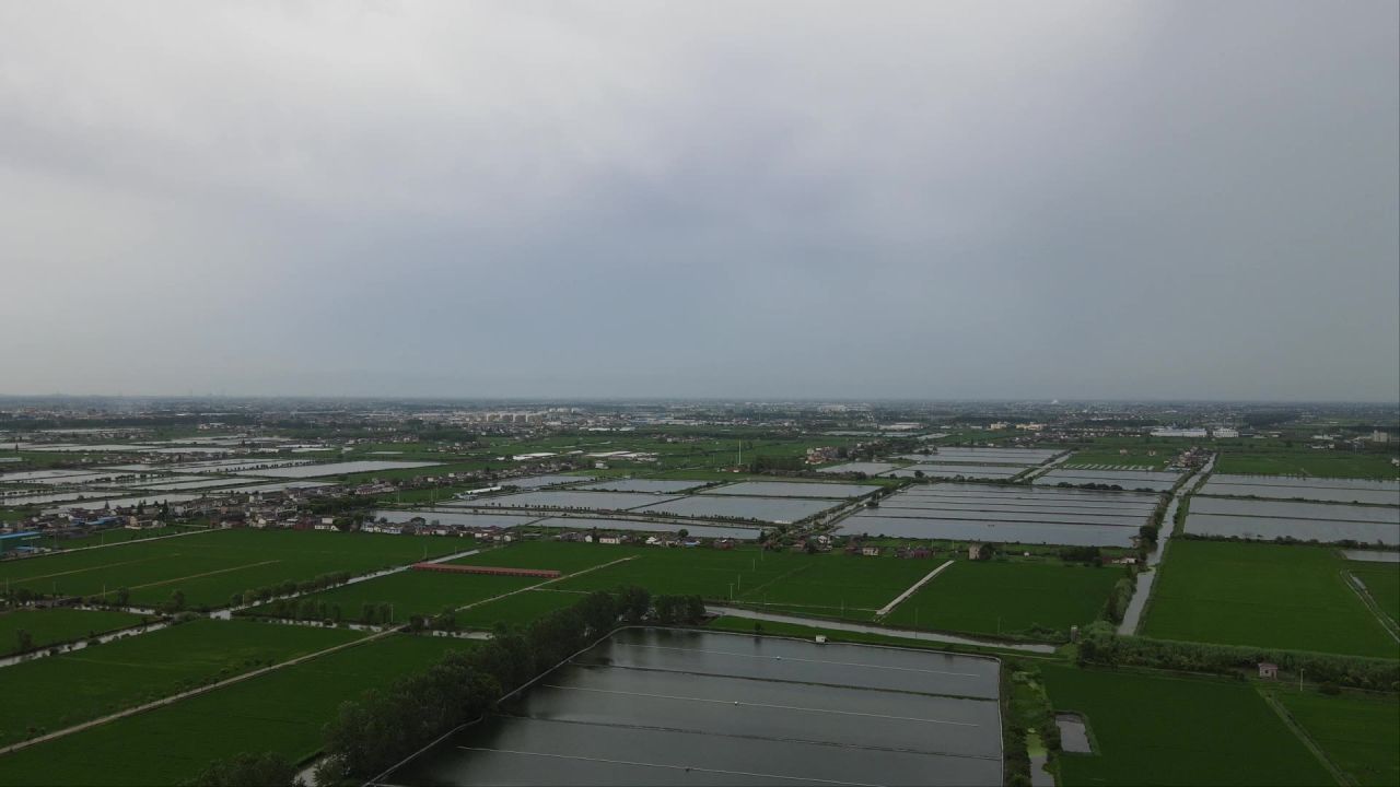 苏北大闸蟹养殖基地航拍