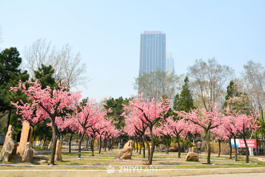 公园装饰花