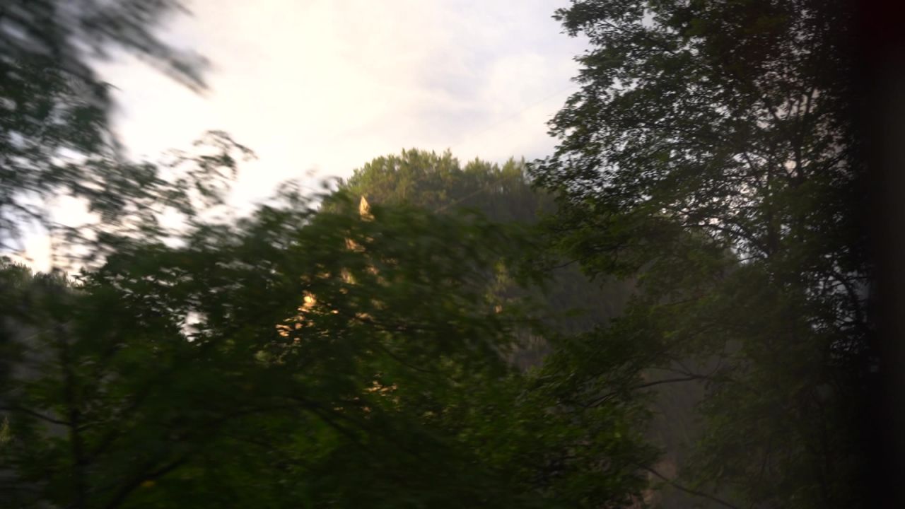 C0058 33