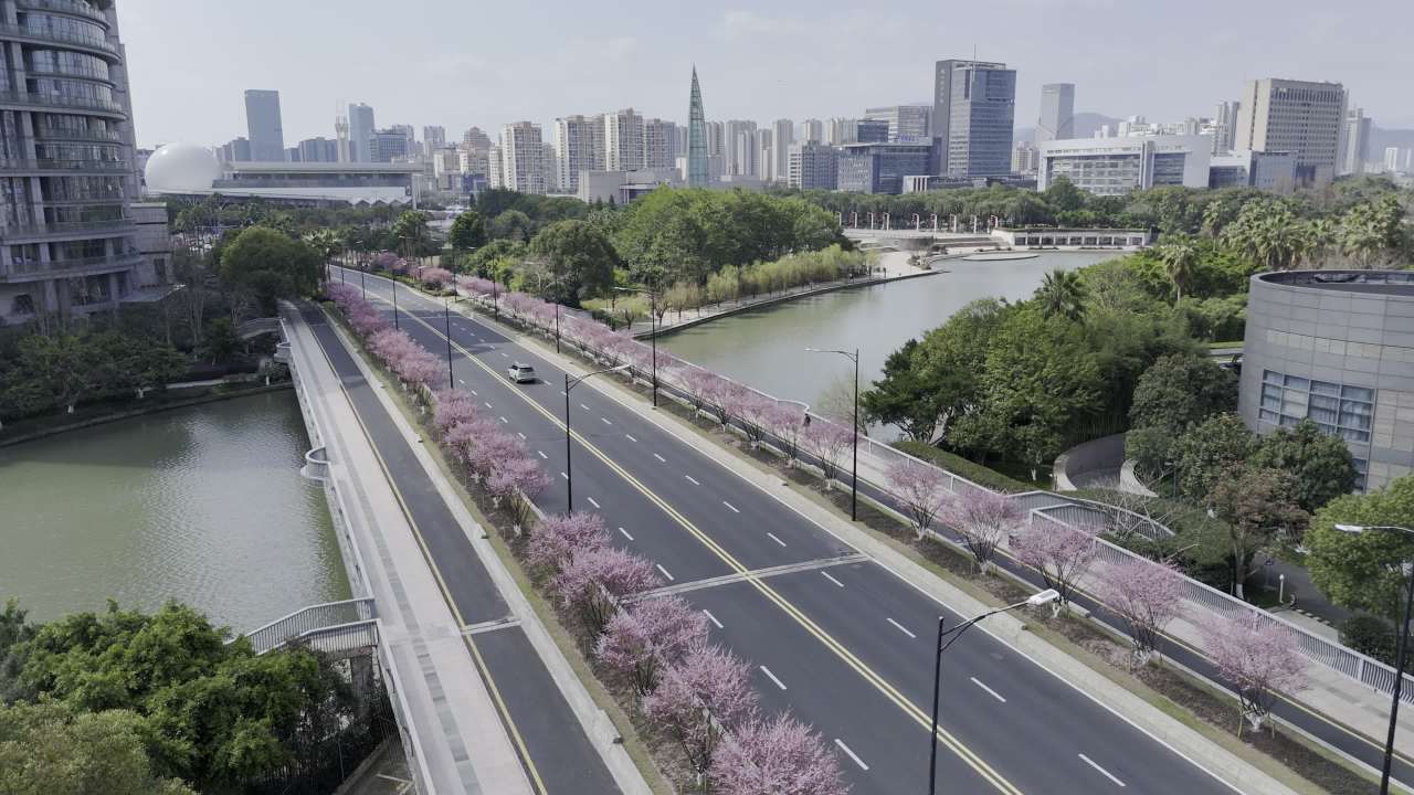 城市河畔的静谧时光