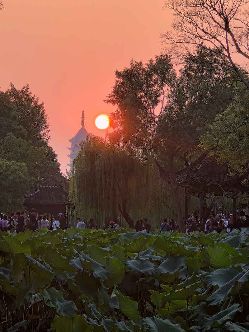 拙政的霞