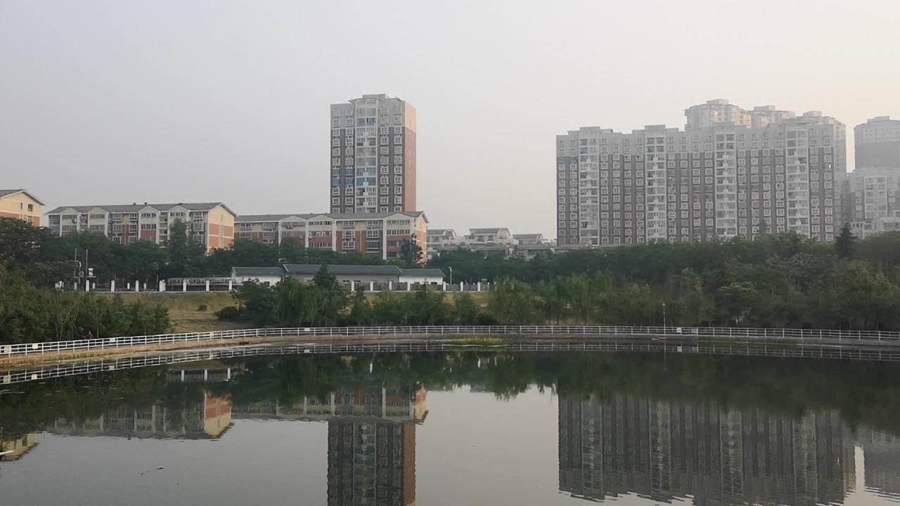 城市湖畔的宁静时光