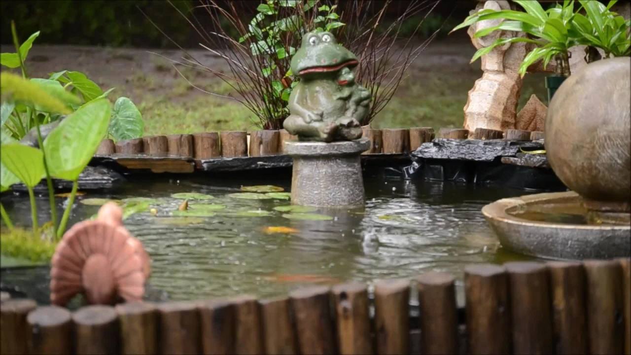 雨中静谧的花园