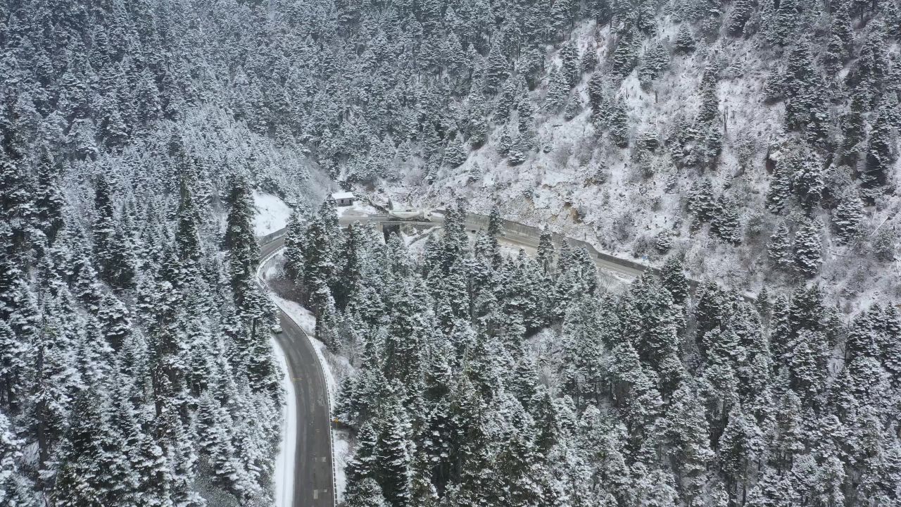 航拍汽车行驶在大雪纷飞的鲁朗林海中的川藏公路上
