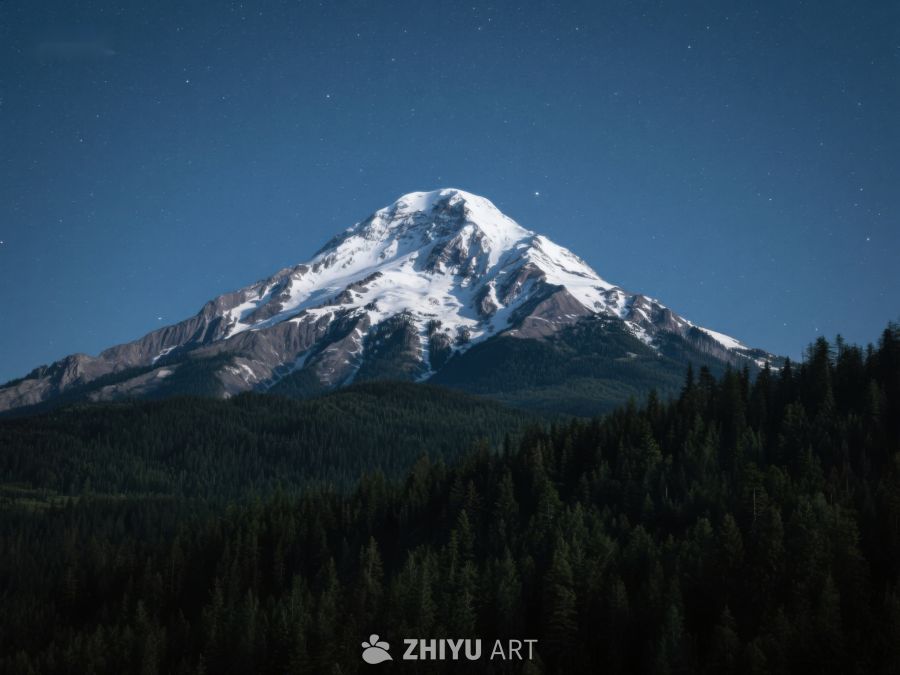 夜幕下的雪山与森林 514