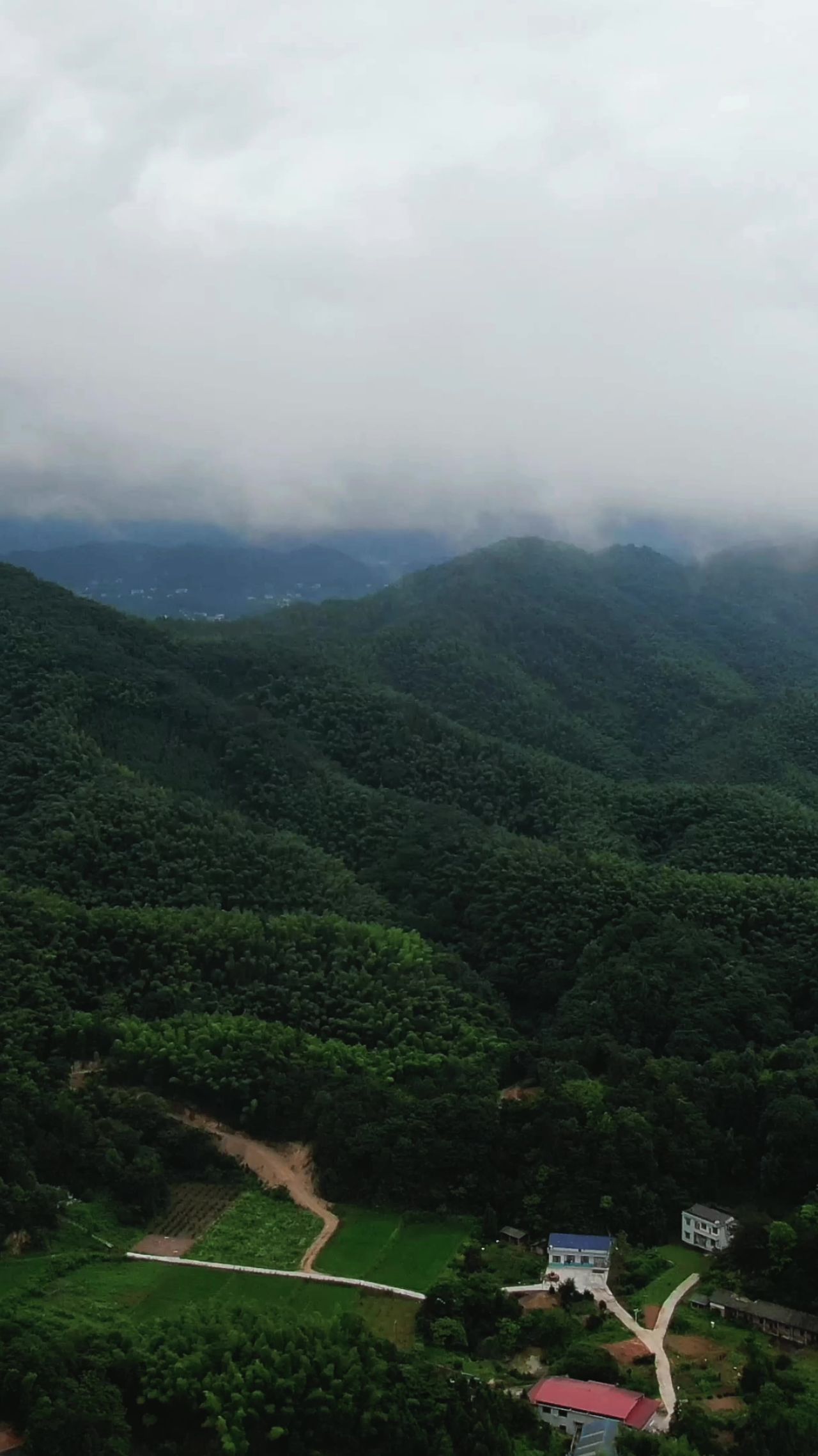 旅游景区 湖南 大围山 国家 森林公园