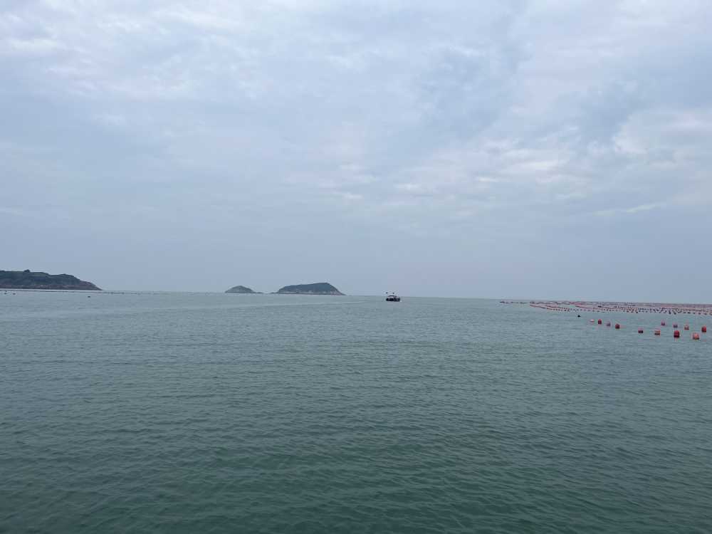 霞浦海上渔船远景