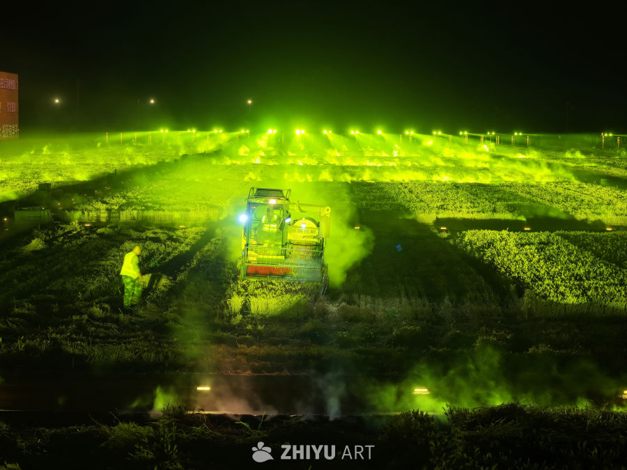 夜幕下的丰收