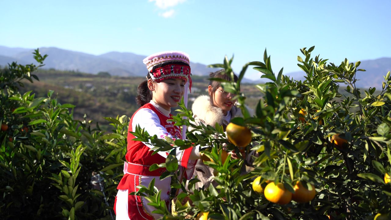乡村振兴