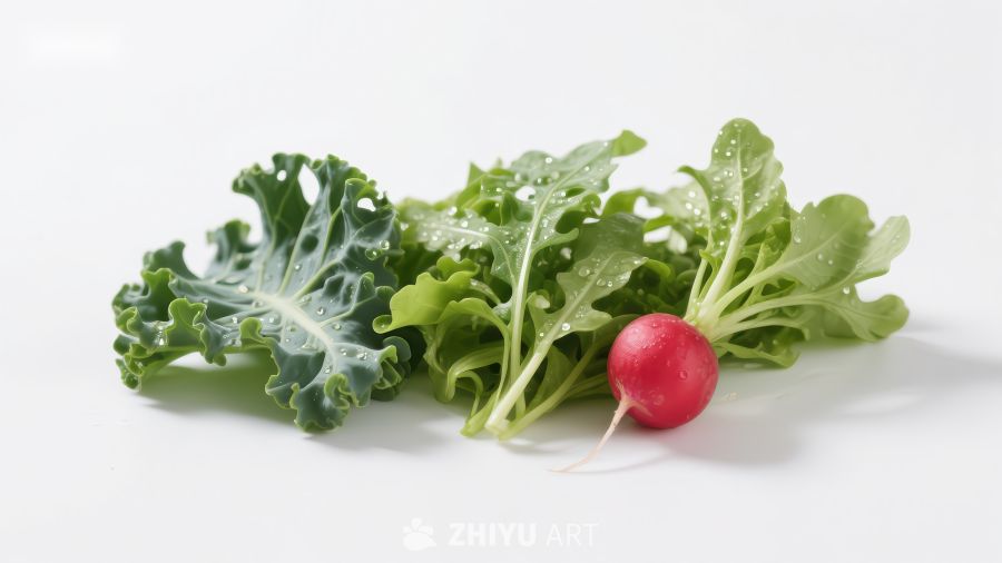 新鲜蔬菜组合：羽衣甘蓝、生菜与樱桃萝卜