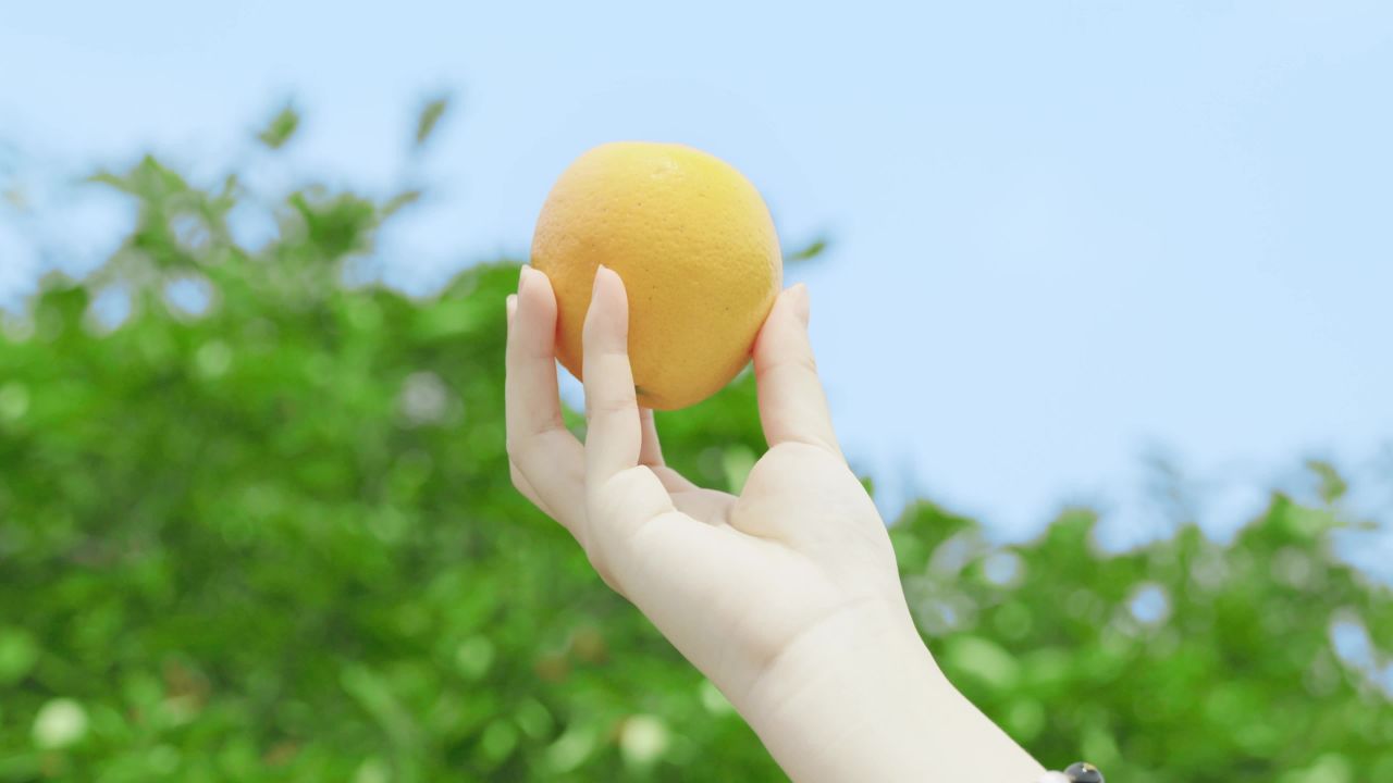 橙子蓝天下