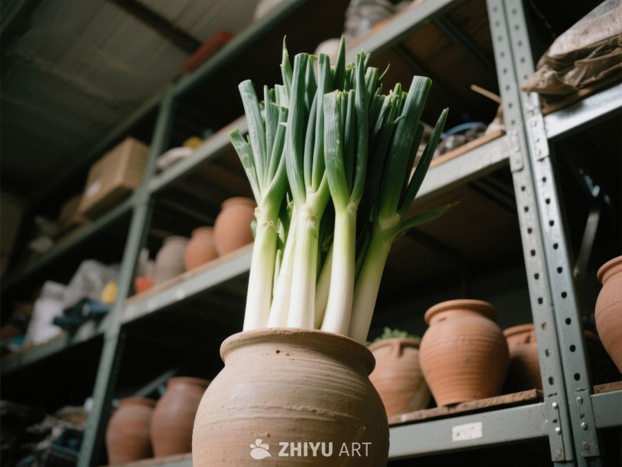 陶罐中的葱苗 345