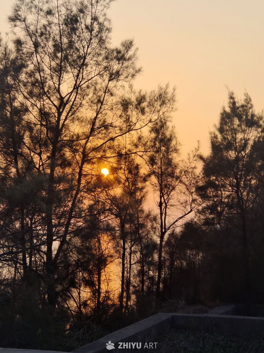 夕阳 23