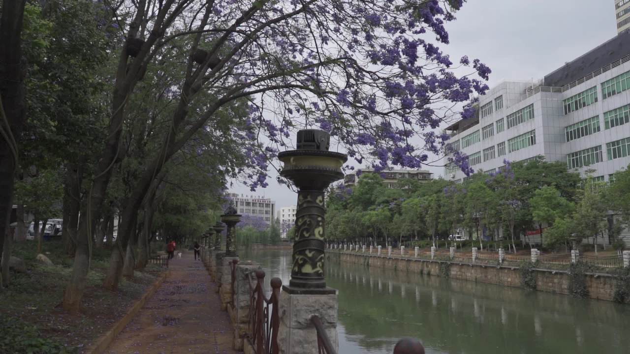 河畔静谧时光