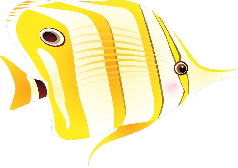鱼热带鱼海异国情调的鱼长鼻子蝴蝶鱼条纹
