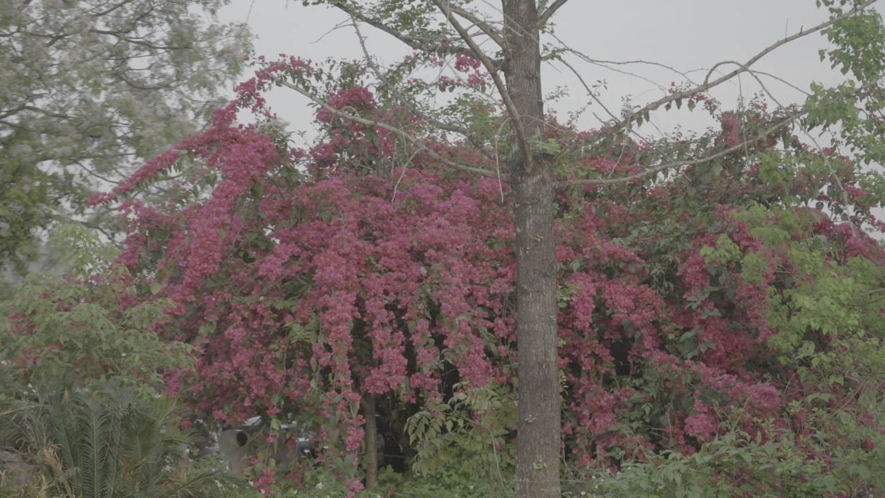骑行 4