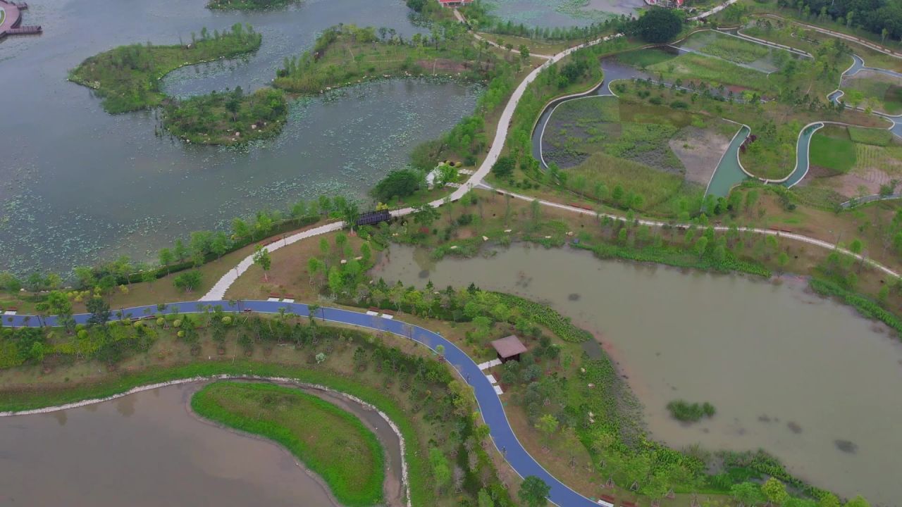 航拍厦门马銮湾双溪湿地公园 13