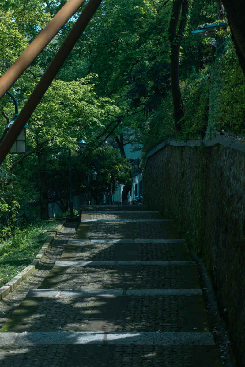 林下阴径