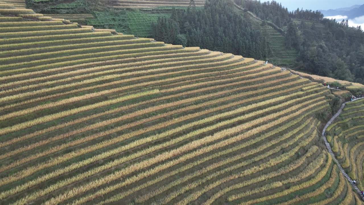 4K航拍桂林龙脊梯田风光 17