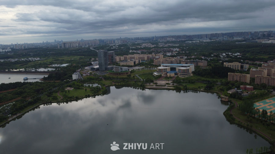 城市湖畔的宁静时光