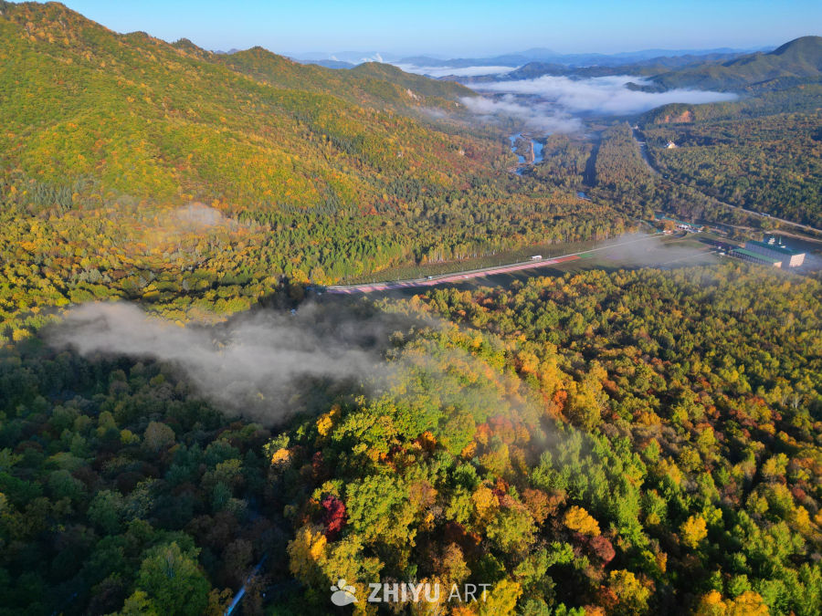 山涧秋意 雾漫彩林