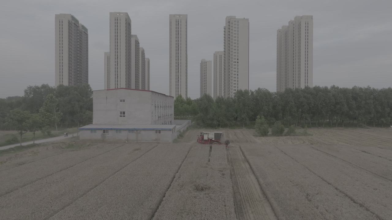 城市边缘的农业景象
