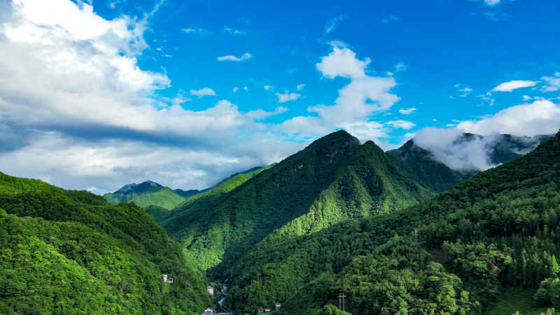 航拍祖国大好河山湖北神农架绿色植物森林 