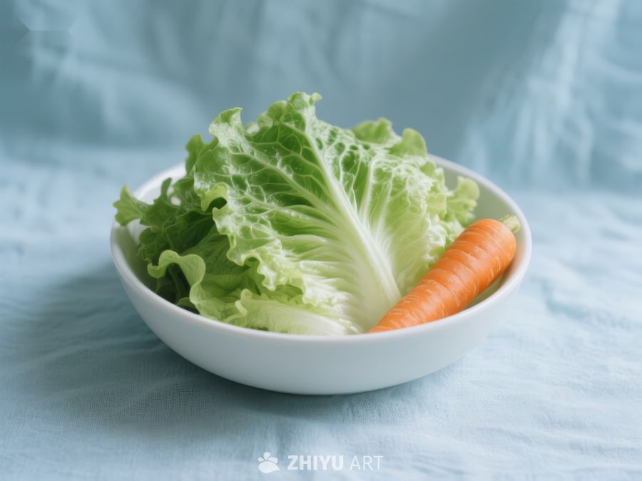 新鲜生菜与胡萝卜置于白色碗中 605