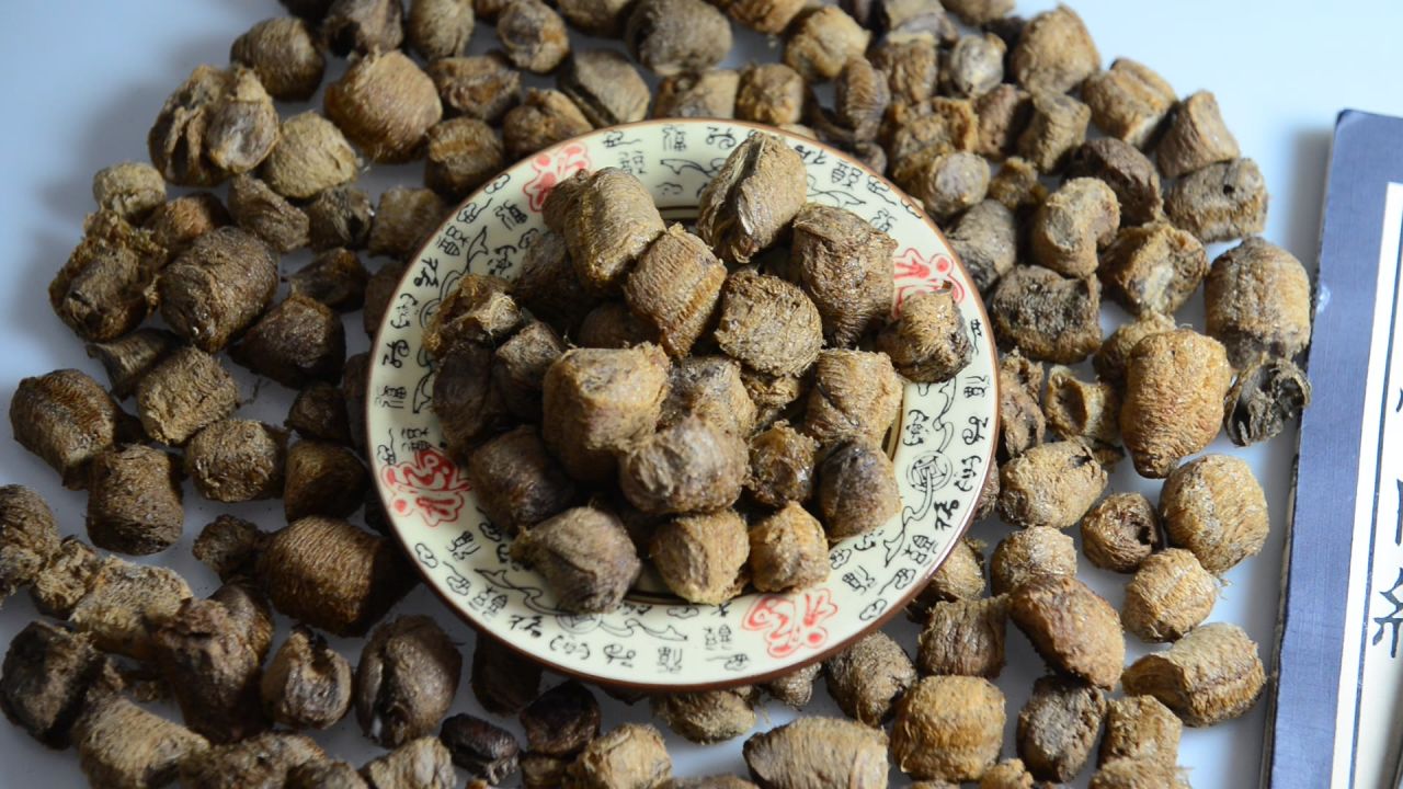 中药材桑螵蛸 20