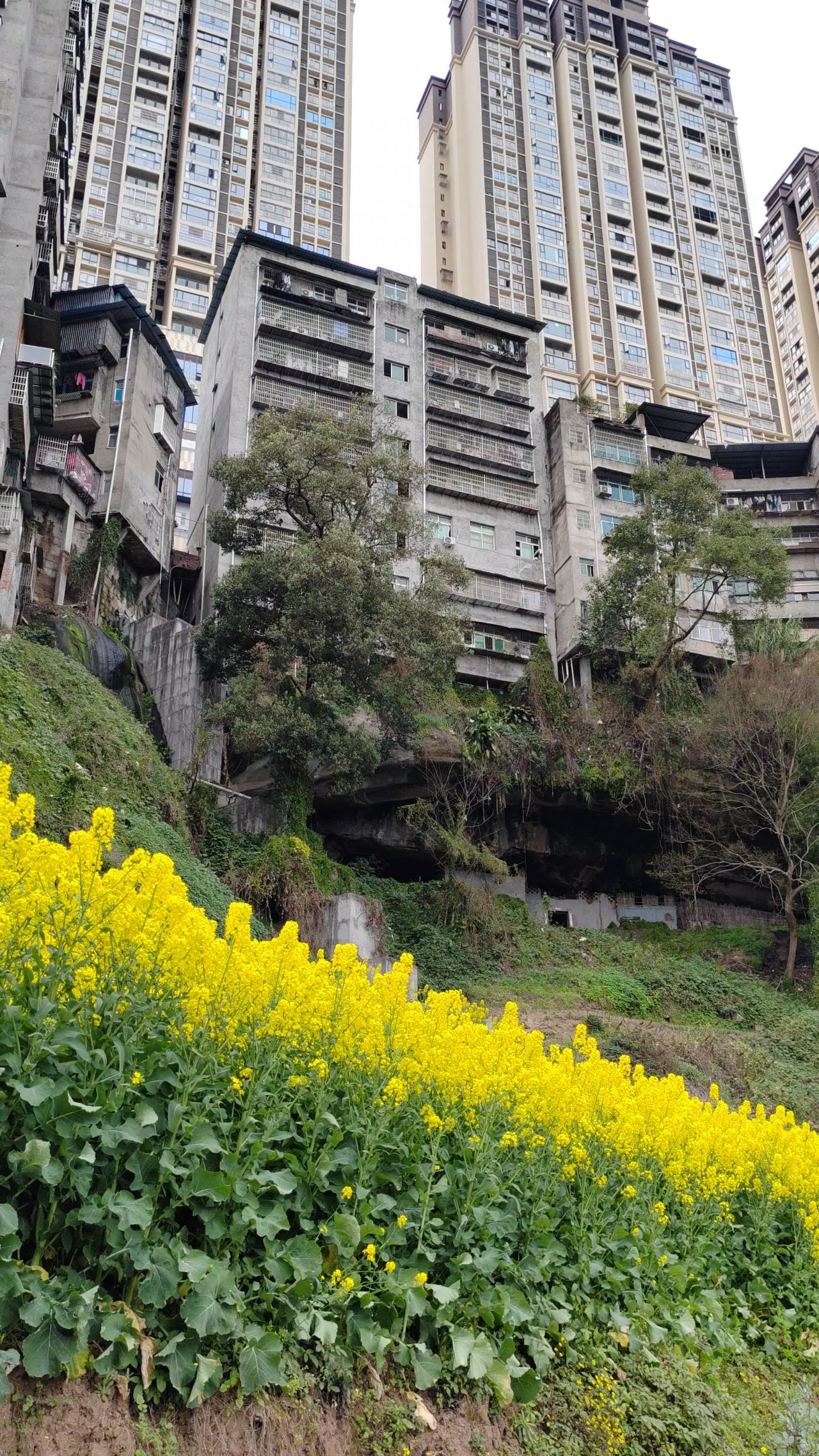 龙洞