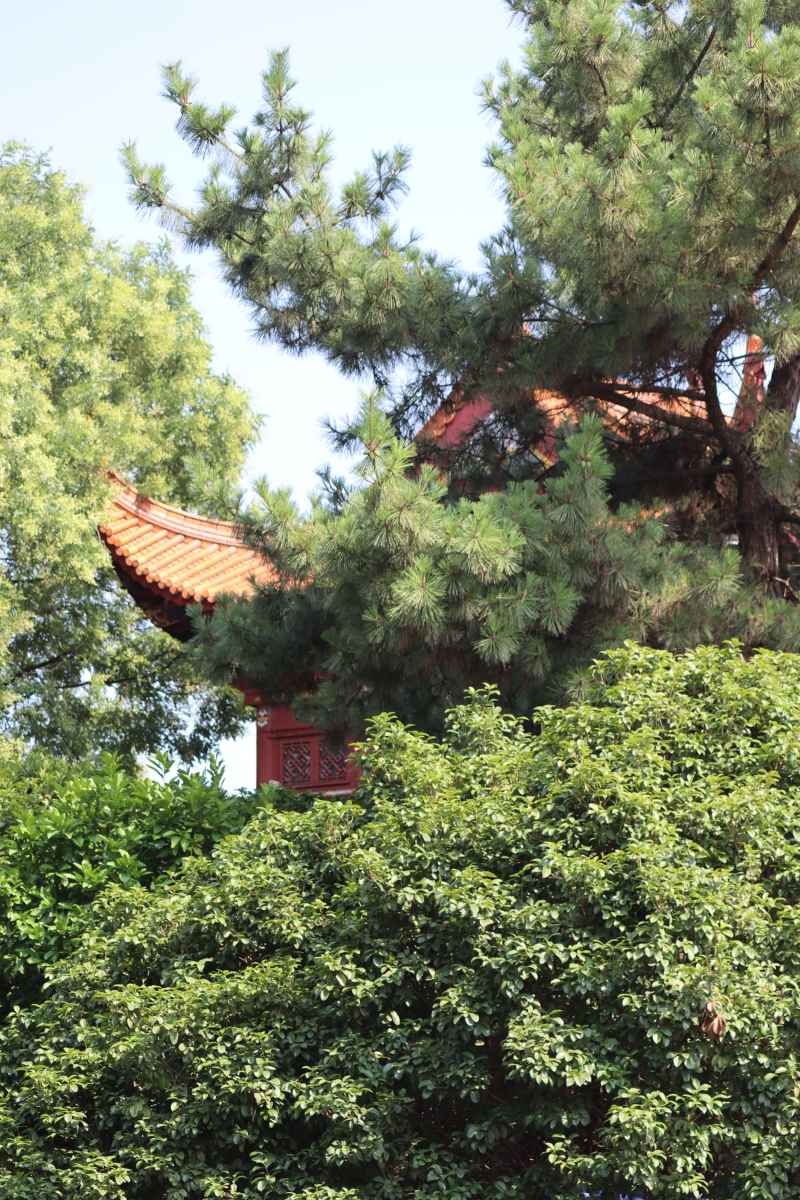草木楼宇