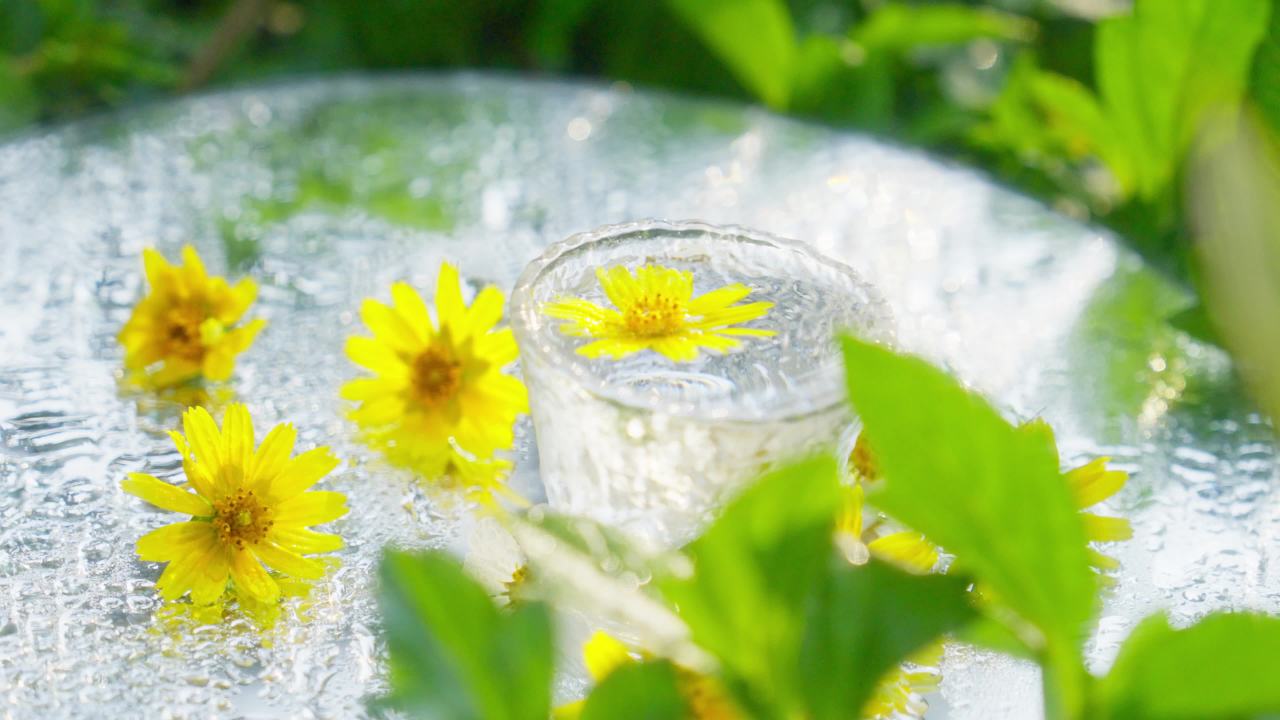 水中的小黄花