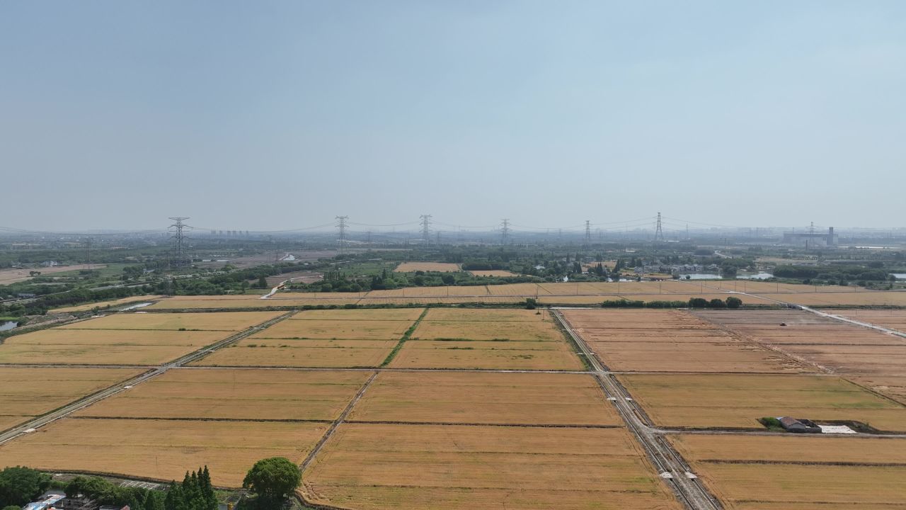 4K航拍昆山农业夏收 17