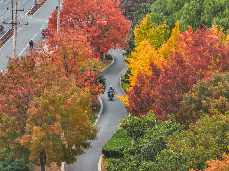 昆山道路上的秋冬景色 20