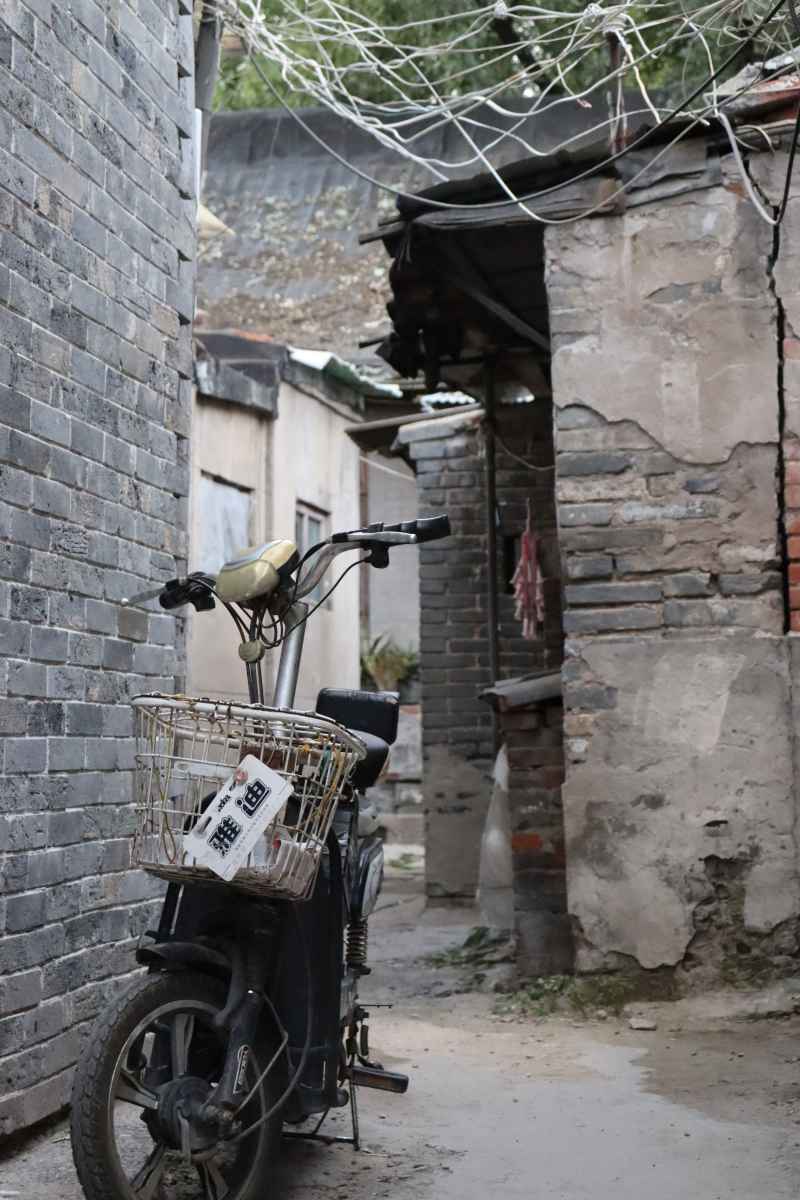 春游随拍1 67