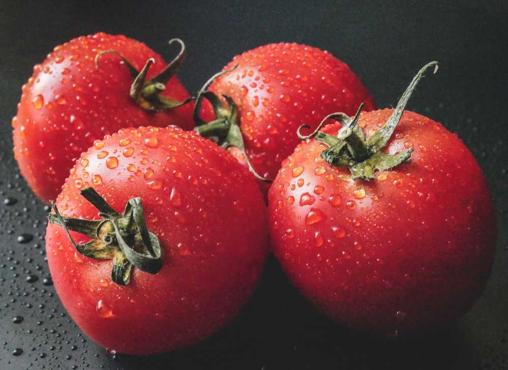 番茄西红柿蔬菜红色