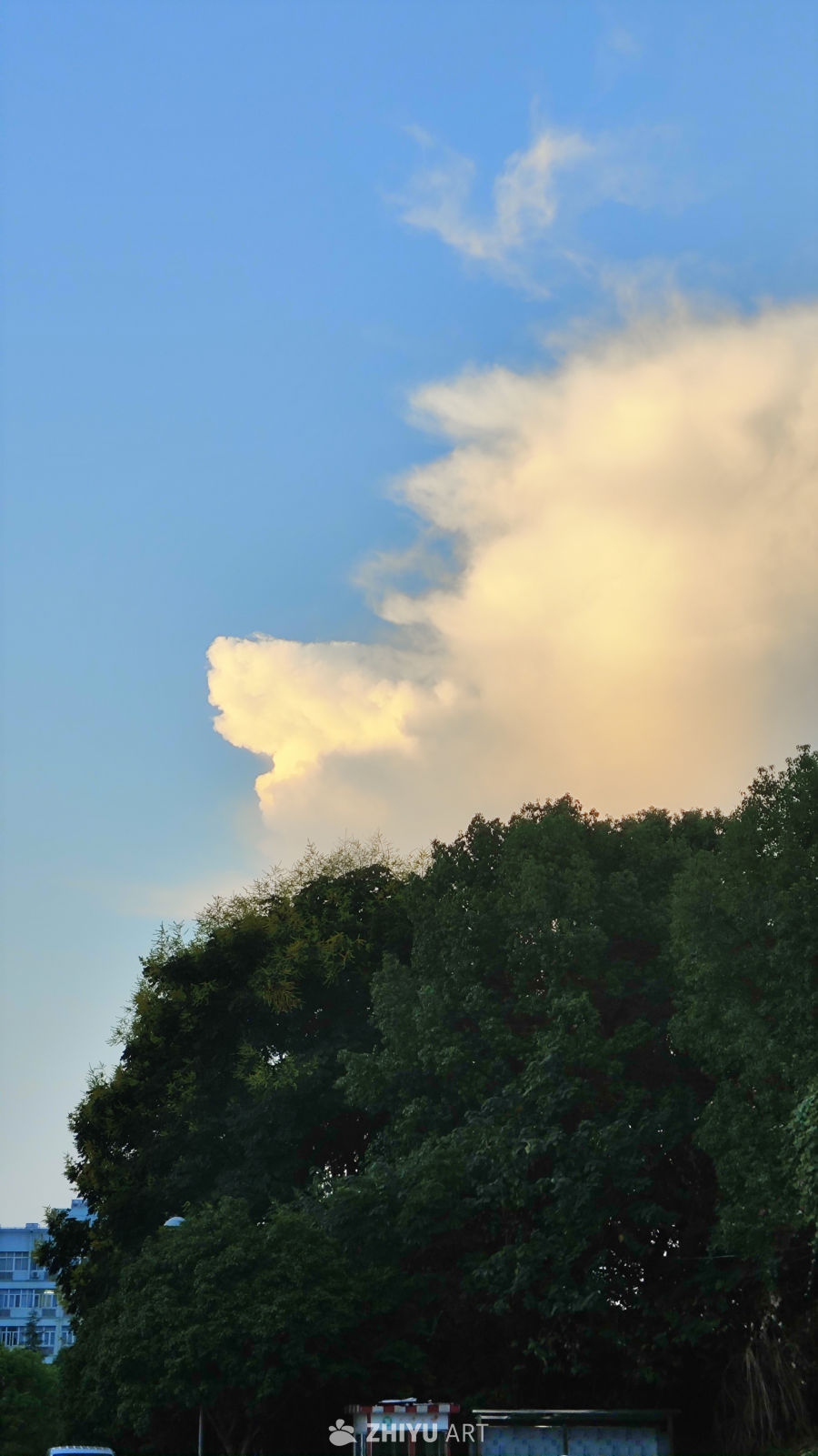 晴空万里，云卷云舒